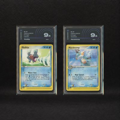 Water Starter Hoenn Lot: Mudkip #65, Marshtomp #36, Ex Dragon [eng]