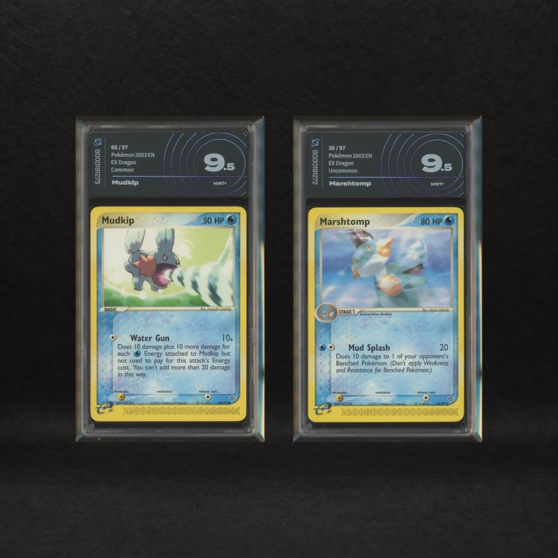 The Pokémon Company - Water Starter Hoenn Lot: Mudkip #65, Marshtomp #36, Ex Dragon [eng]