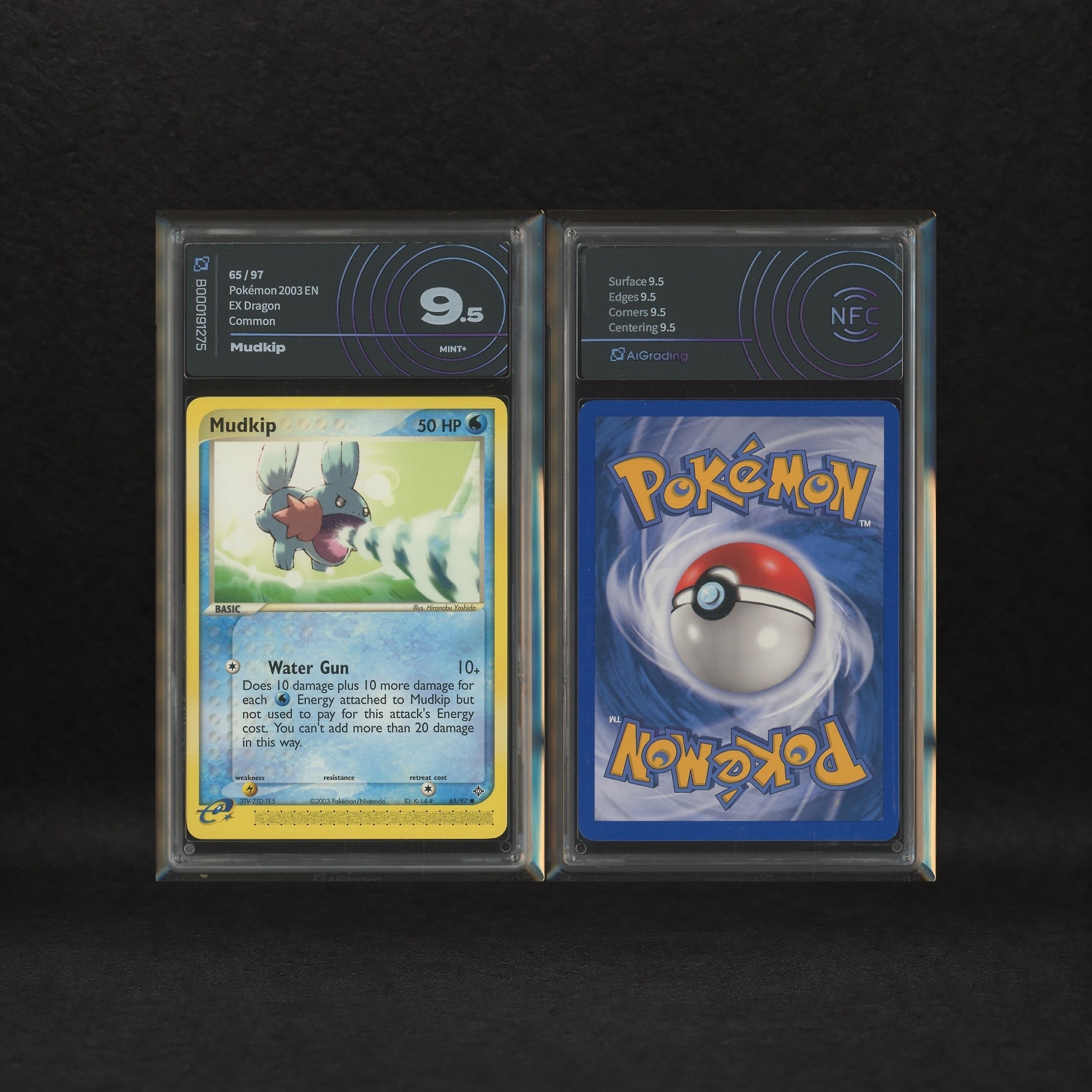 The Pokémon Company - Water Starter Hoenn Lot: Mudkip #65, Marshtomp #36, Ex Dragon [eng]