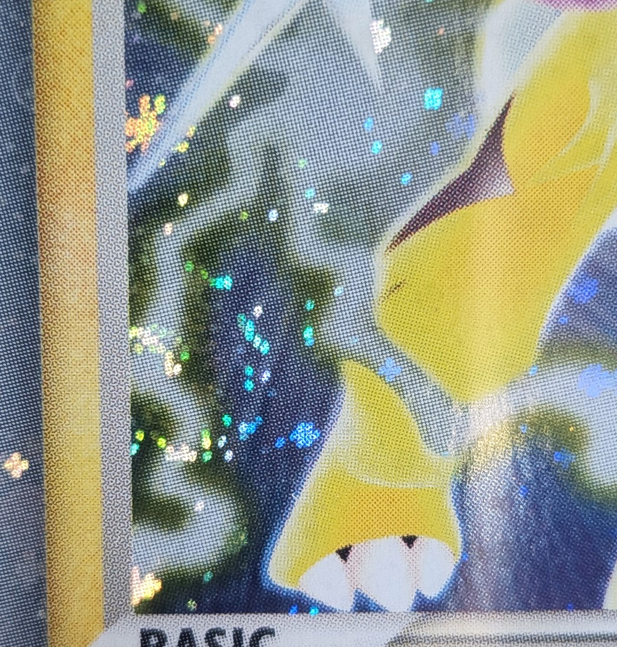 The Pokémon Company - Raikou Ex #92 Holo (swirl), Ex Team Magma Vs Team Aqua [eng]