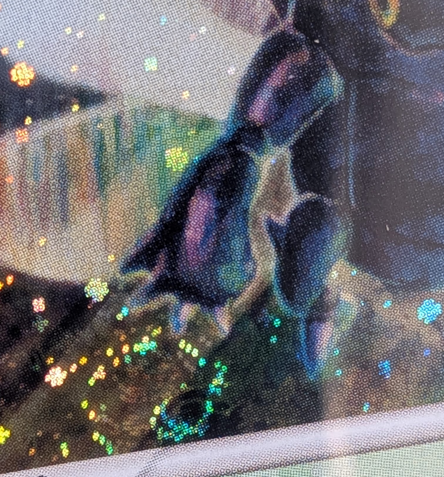 The Pokémon Company - Heracross #7 Holo, Ex Hidden Legends [eng]