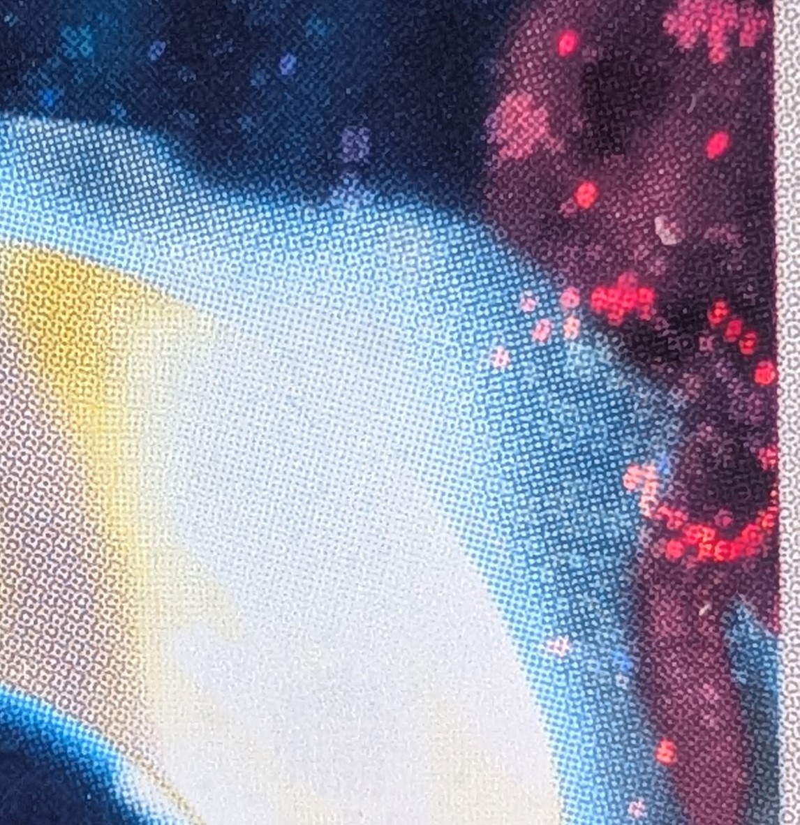 The Pokémon Company - Milotic #12 Holo, Ex Hidden Legends [eng]