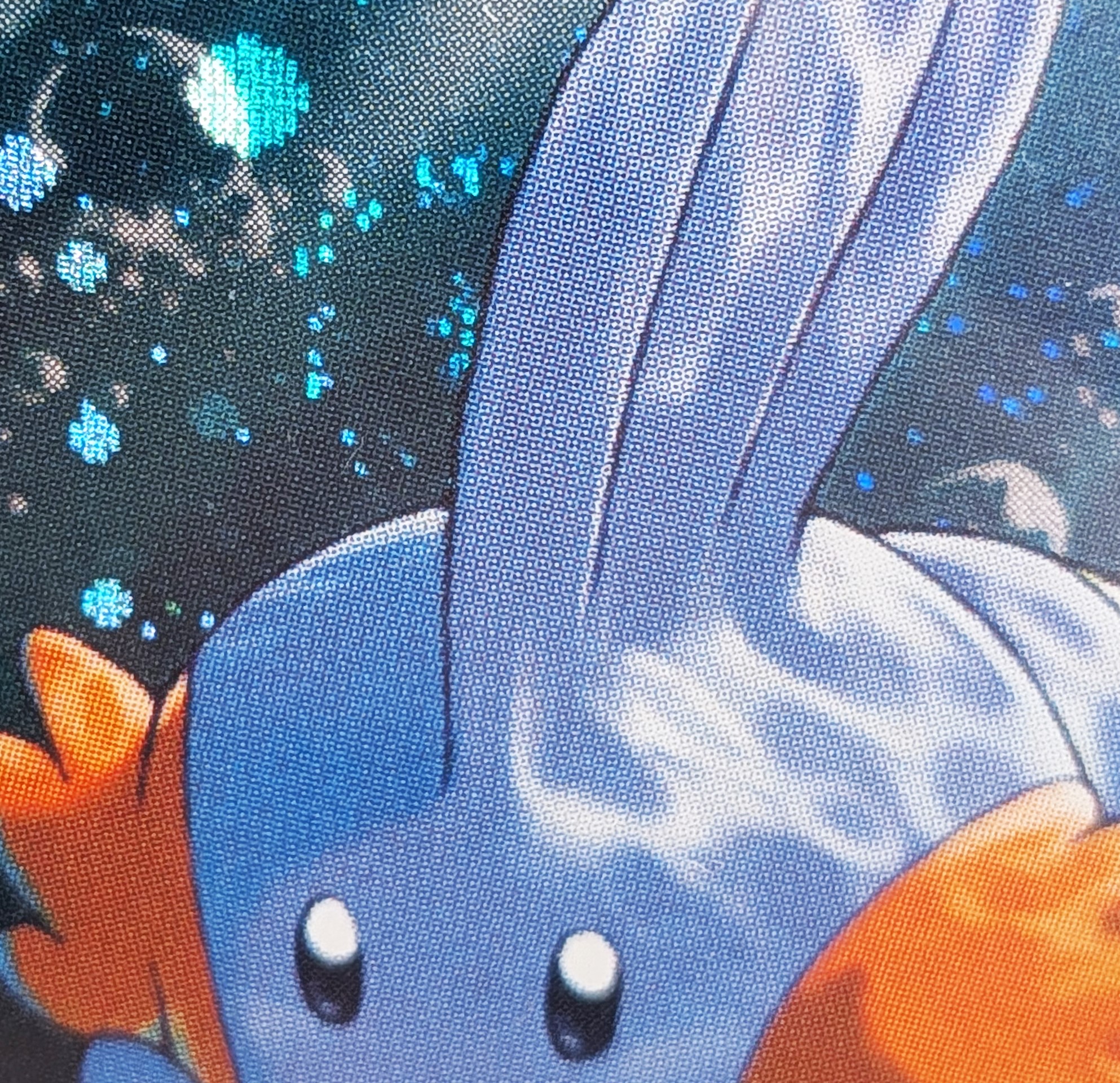 The Pokémon Company - Mudkip Gold Star #107 Holo (swirl), Ex Team Rocket Returns [eng]