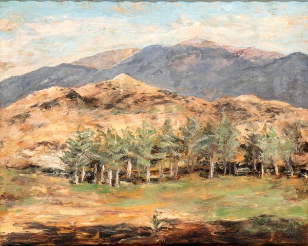 CESARINA GUALINO - Paesaggio collinare   