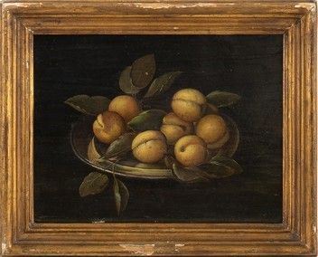 AMBITO DI PANFILO NUVOLONE (Cremona, 1581 - Milano, 1651) - Natura morta con albicocche su un piatto metallico...