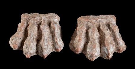 COPPIA DI SOSTEGNI IN FORMA DI ZAMPE LEONINE
Canosa, IV - III secolo a.C.
Terra...