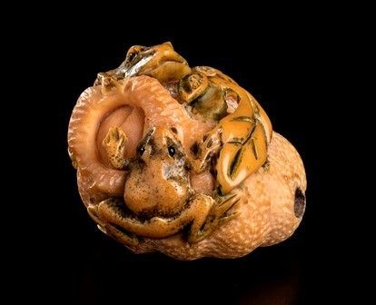 NETSUKE IN AVORIO CON FRUTTO E RANE
Giappone, XX secolo...  - Asta Arte Asiatica e Tribale - Bertolami Fine Art - Casa d'Aste