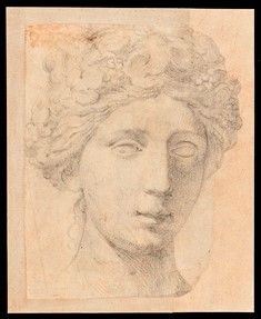 Francesco de' Rossi Salviati - Testa femminile, "Flora"...