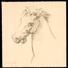 GIUSEPPE SABATELLI (Milano, 1813 - Firenze, 1843) - Recto: Testa di cavallo - Verso: Testa maschile con baffi...