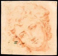 Artista bolognese, XVIII secolo - Studio per una testa di ragazzo...