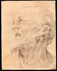 CESARE LIGARI (Milano, 1716 - Como, 1755), ATTRIBUITO - Recto: studio per volto di vecchio - Verso: cinque studi di teste di profilo...