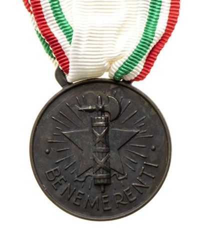 Medaglia di Benemerenza della Cri