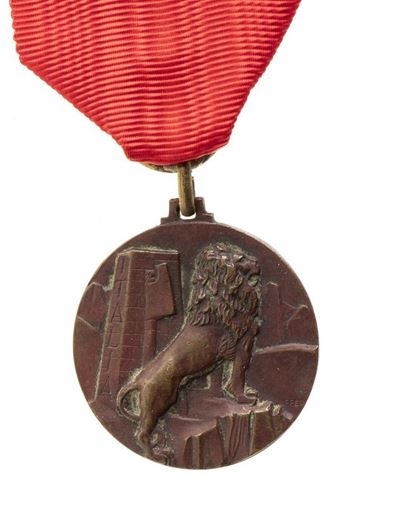 Medaglia XI Armata
