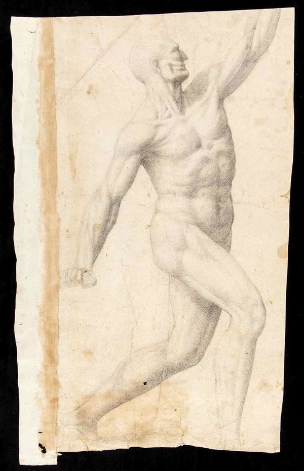 Scuola romana, prima met&#224; del XVIII secolo - Studio anatomico di figura maschile...