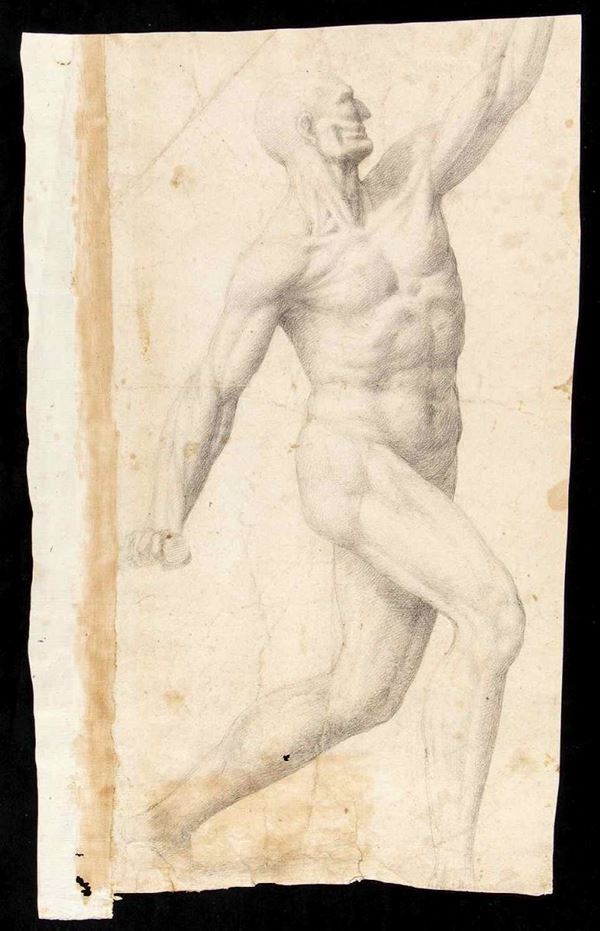 Scuola romana, prima met&#224; del XVIII secolo : Studio anatomico di figura maschile...  - Auction Dipinti e Disegni dal XV al XIX secolo - Bertolami Fine Art - Casa d'Aste