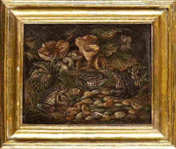 Scuola Napoletana, seconda met&#224; XVII secolo : Stagno con funghi insetti e tre rane...  - Auction Dipinti e Disegni dal XV al XIX secolo - Bertolami Fine Art - Casa d'Aste