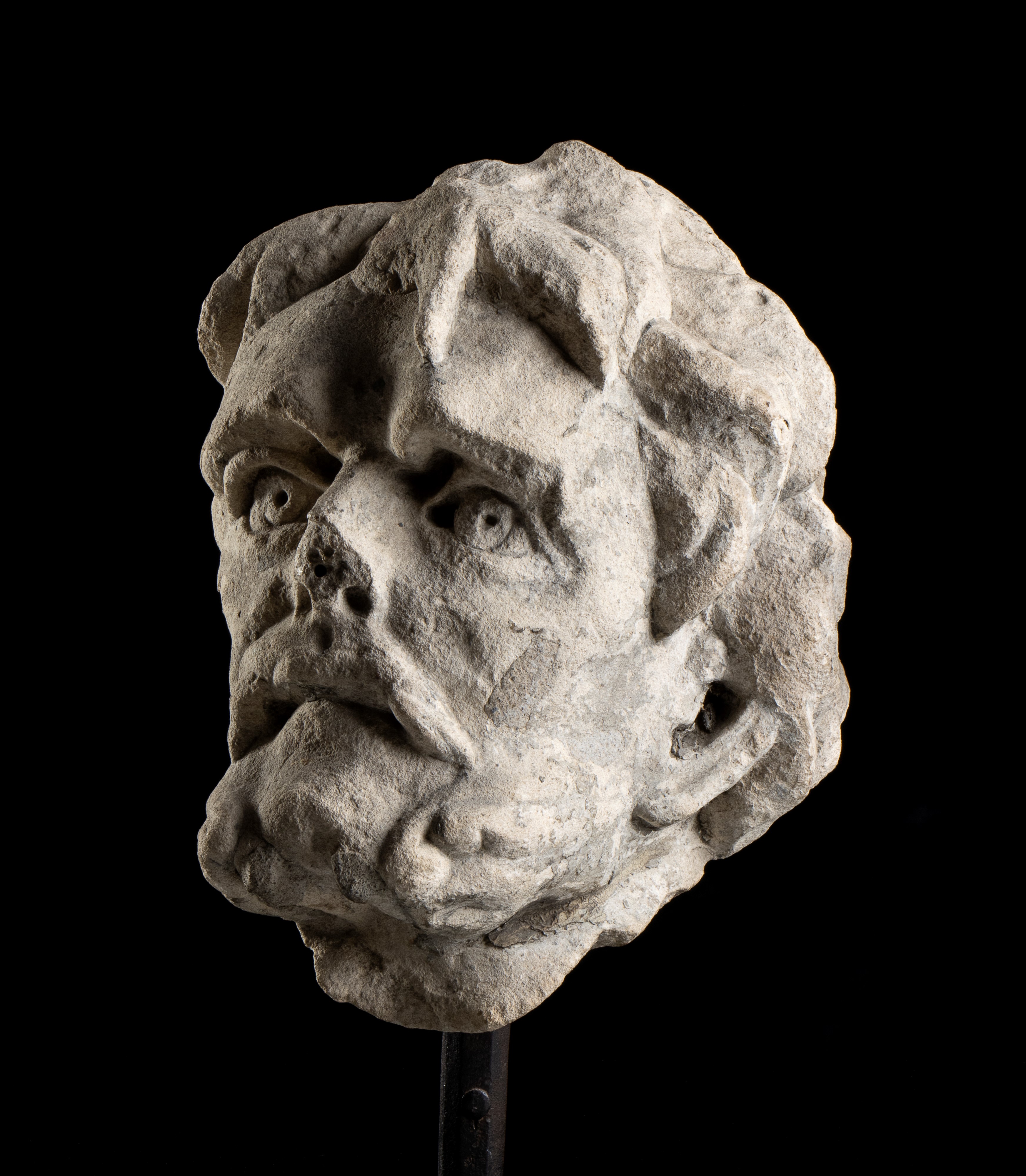 Artista Toscano, XV - XVI Secolo - Testa di Apostolo