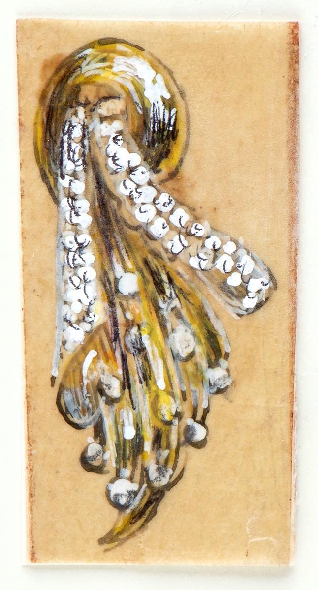 Giulio Zancolla - Progetto per quattro spille floreali