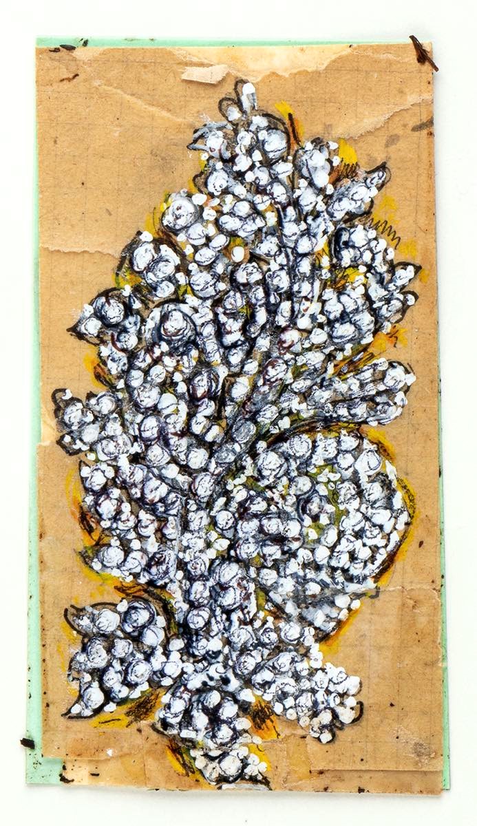 Giulio Zancolla - Progetto per quattro spille floreali in diamanti