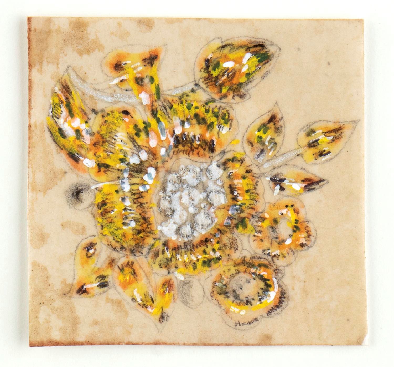 Giulio Zancolla - Progetti per tre spille floreali in oro, diamanti e pietre policrome