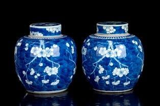 COPPIA DI GIARE CON COPERCHIO IN PORCELLANA 'BIANCO E BLU'
Cina, inizio del XX ...  - Asta Arte Asiatica, Africana e Precolombiana - Bertolami Fine Art - Casa d'Aste