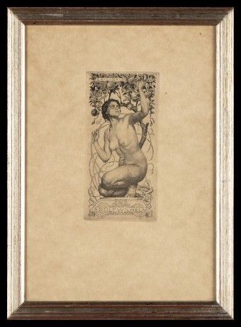 Ex Libris per Adolf Wilhelm, 1921...  - Auction Stampe antiche, moderne e carte geografiche - Bertolami Fine Art - Casa d'Aste