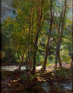 RICCARDO GALLI - Sottobosco