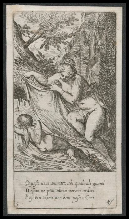 Venere che copre con un telo Cupido dormiente, 1617...