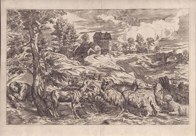 Paesaggio con Pecore