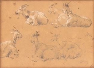 FILIPPO PALIZZI : Study about goats  - Pencil and chalk on paper, 20 x 27,5 cm   - Auction Dipinti, Disegni e Sculture dal XIX al XXI secolo e Collezione Cornelio Di Marzio - Bertolami Fine Art - Casa d'Aste