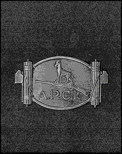 Placchetta Apci