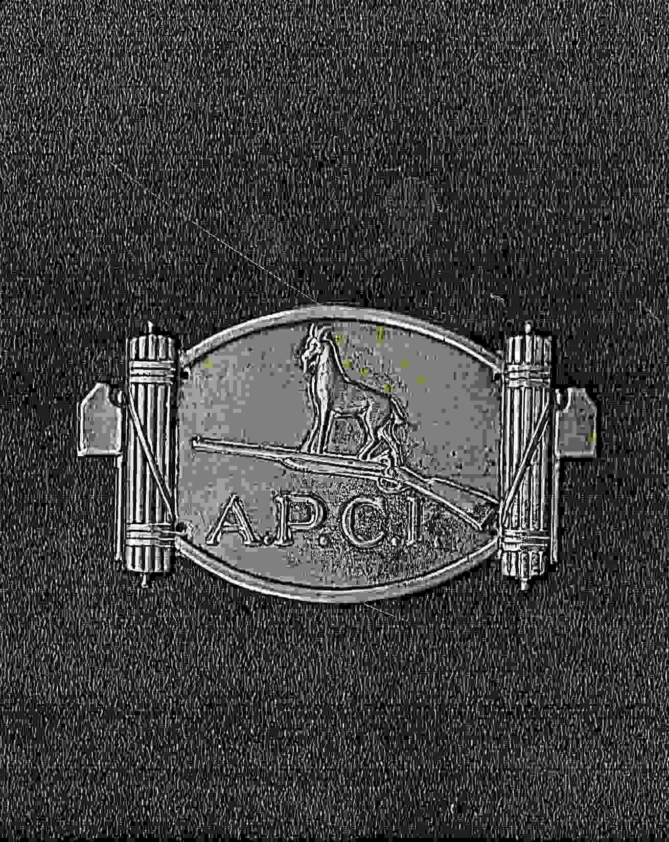 Placchetta Apci