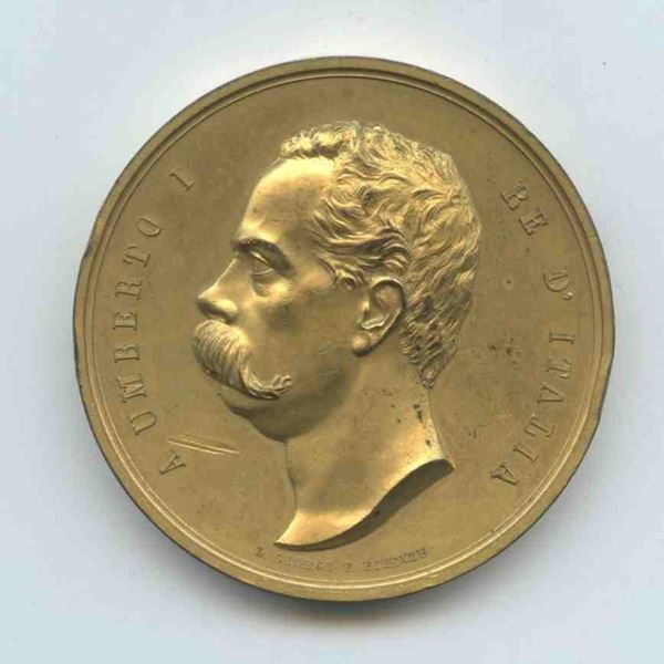 Medaglia commemorativa della epidemia colerica di Napoli, 1884, Umberto I...