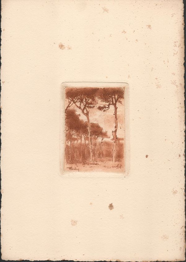 The pine forest of Ravenna...