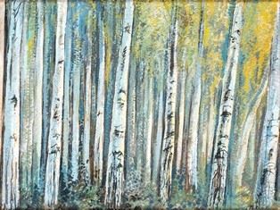 Il Bosco