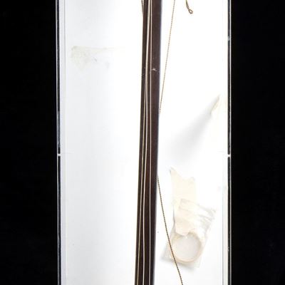 Liuto Shamisen in Legno e Pelle